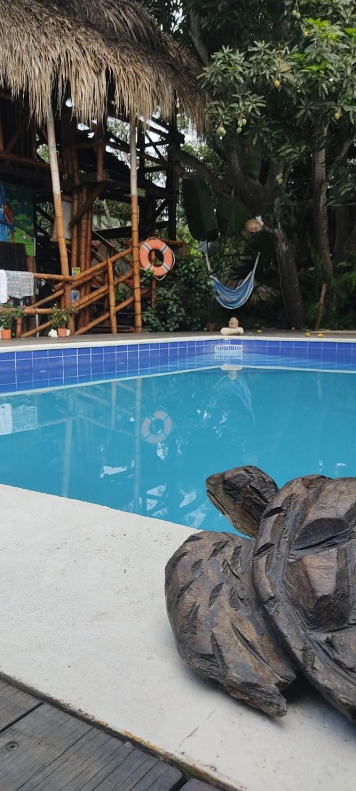 La Natura Hostel & Pool Паломіно Екстер'єр фото